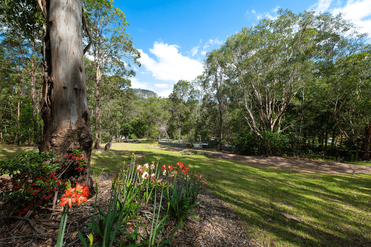 21 Elouera Drive, NINDERRY, QLD 4561