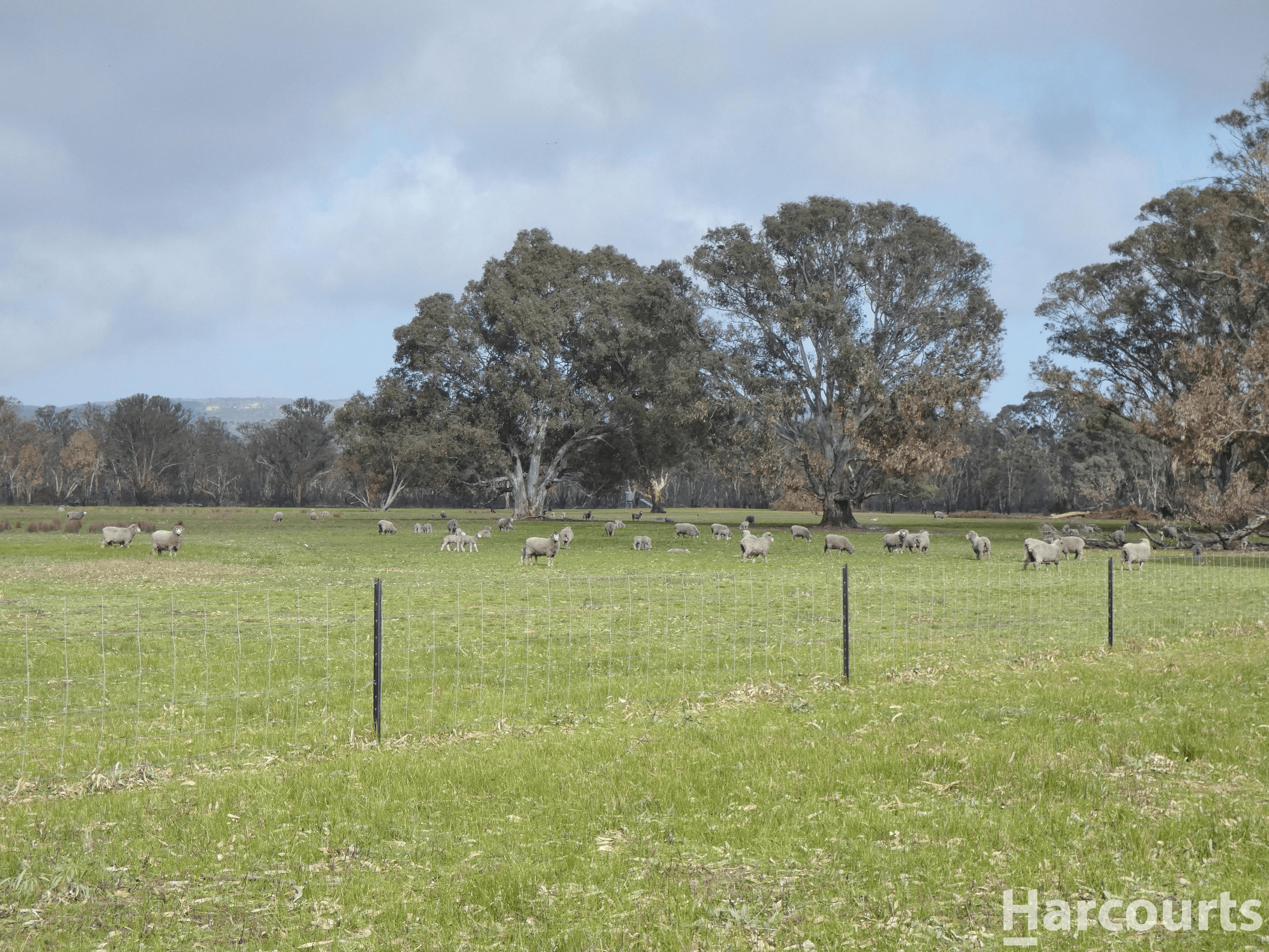 6080 Western Highway, DADSWELLS BRIDGE, VIC 3385