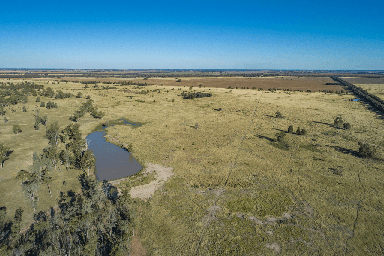 'Pine Hill' Hill, CHINCHILLA, QLD 4413