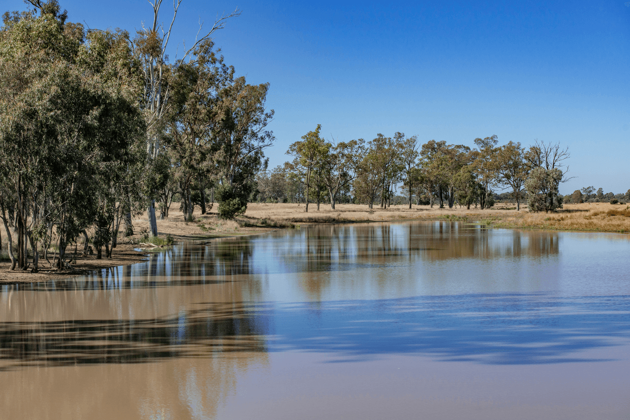 'Pine Hill' Hill, CHINCHILLA, QLD 4413