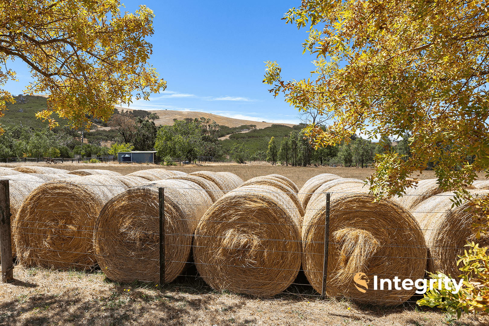 61 Walls Road, Glenburn, VIC 3717