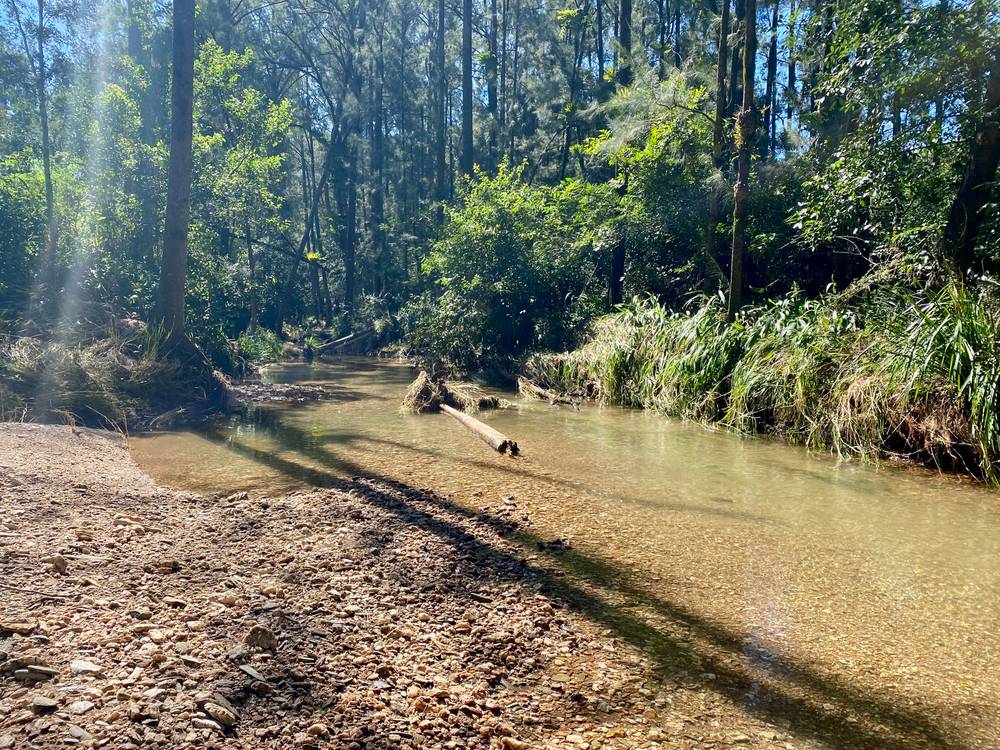 1200-1202 Missabotti Road, Missabotti, NSW 2449