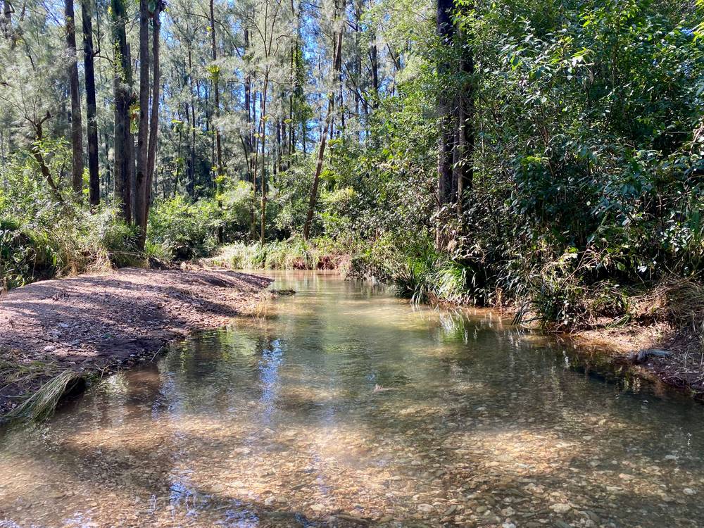 1200-1202 Missabotti Road, Missabotti, NSW 2449
