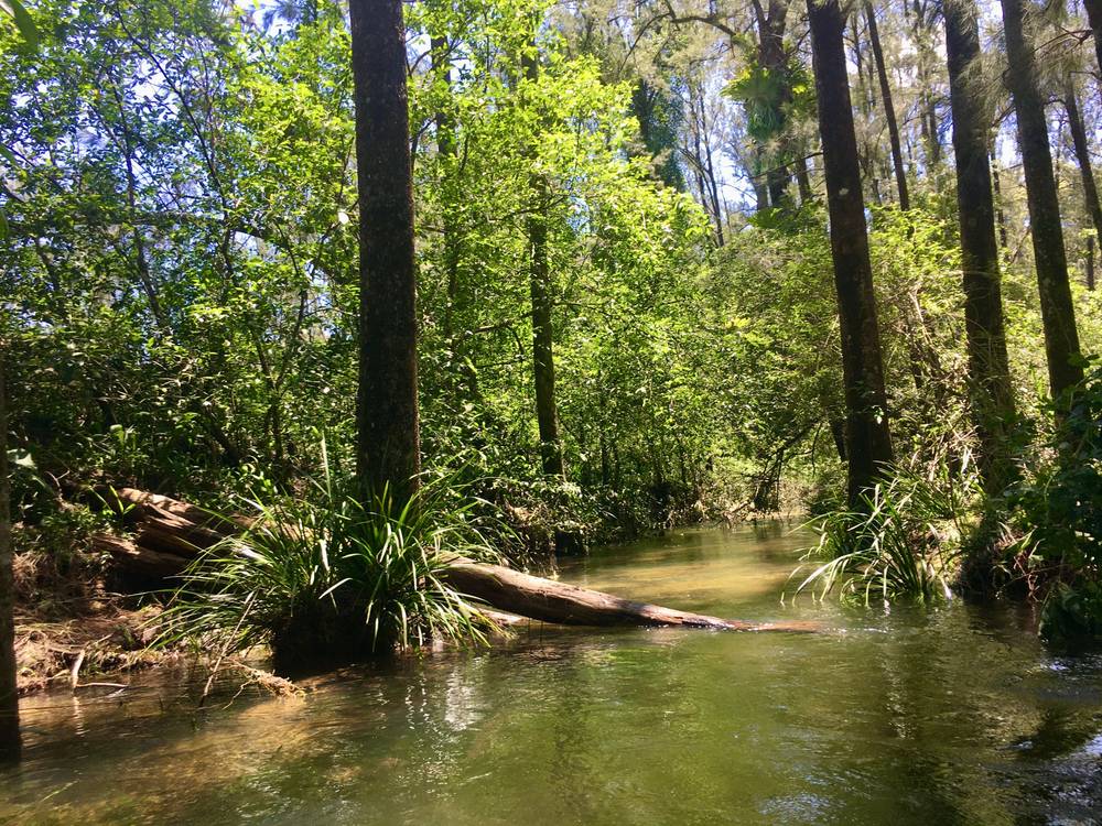 1200-1202 Missabotti Road, Missabotti, NSW 2449