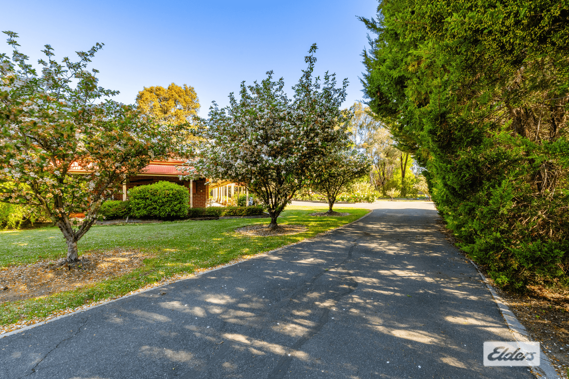 16 Bennett Road, Thurgoona, NSW 2640