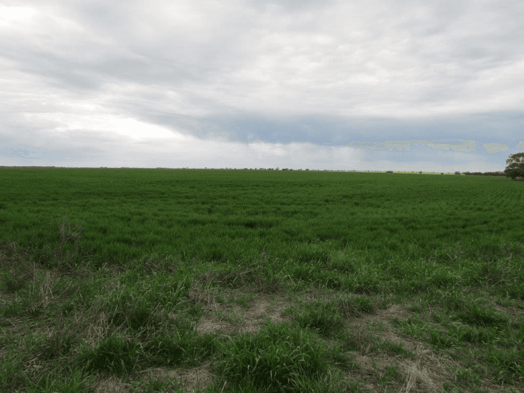Boolite Rd, SHEEP HILLS, VIC 3392