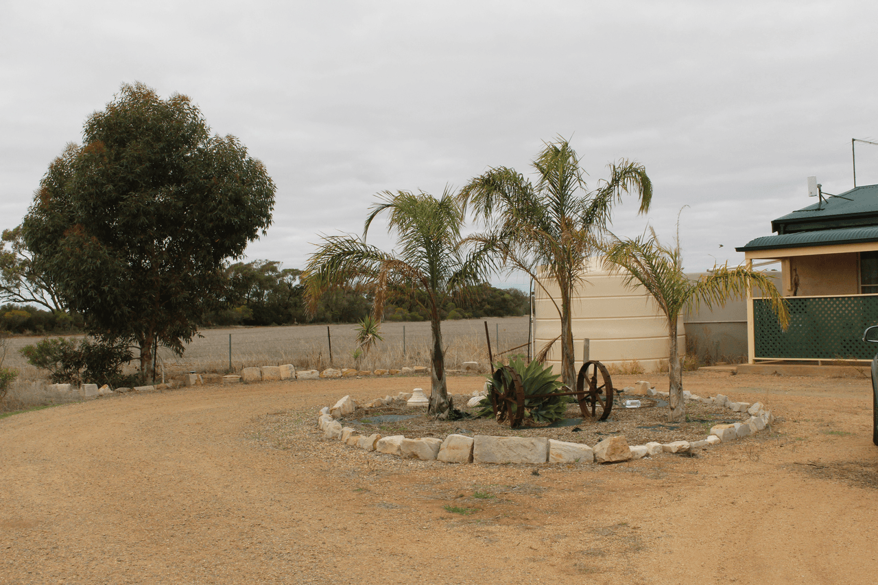 106 Dows Road, OWEN, SA 5460