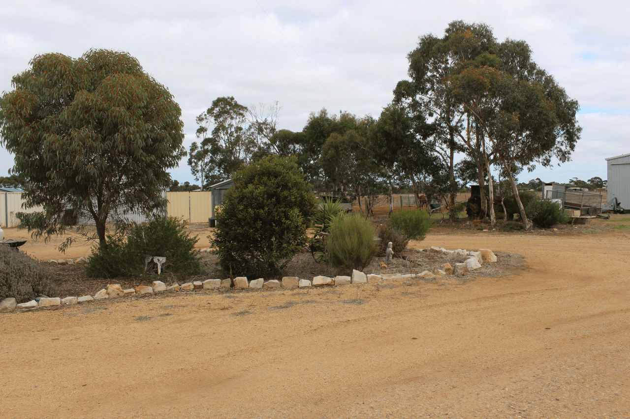 106 Dows Road, OWEN, SA 5460