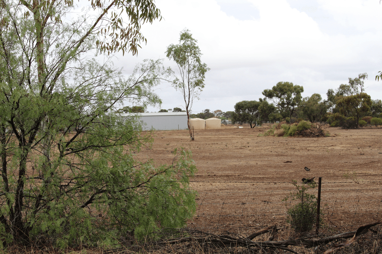 106 Dows Road, OWEN, SA 5460
