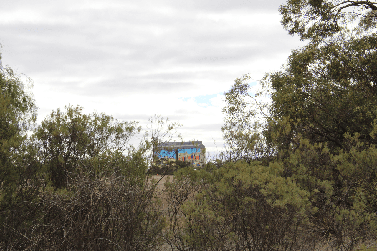 106 Dows Road, OWEN, SA 5460