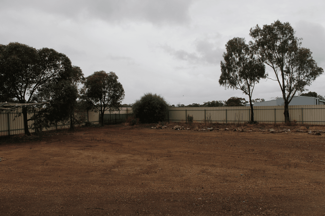 106 Dows Road, OWEN, SA 5460