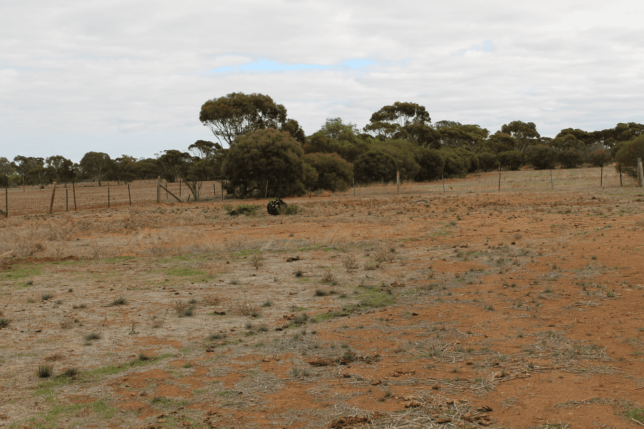 106 Dows Road, OWEN, SA 5460