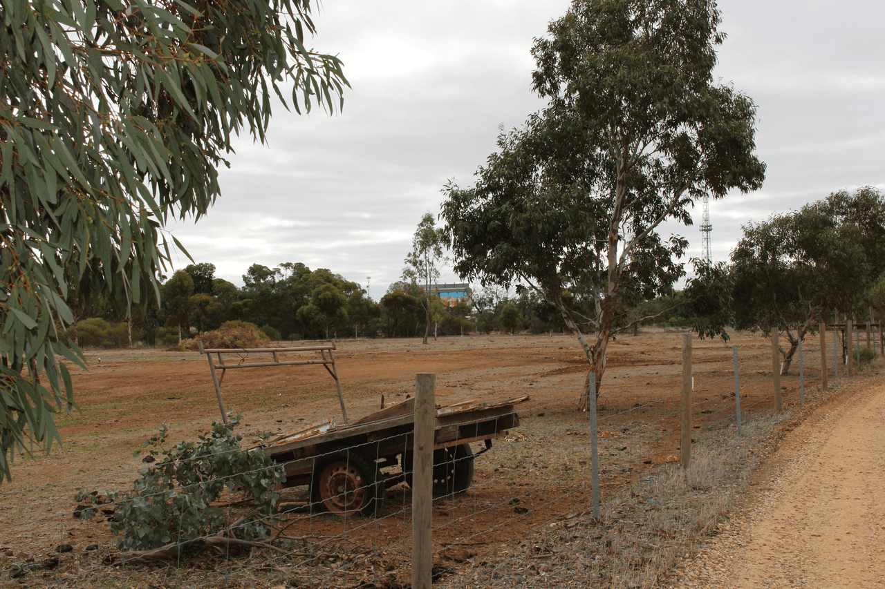 106 Dows Road, OWEN, SA 5460