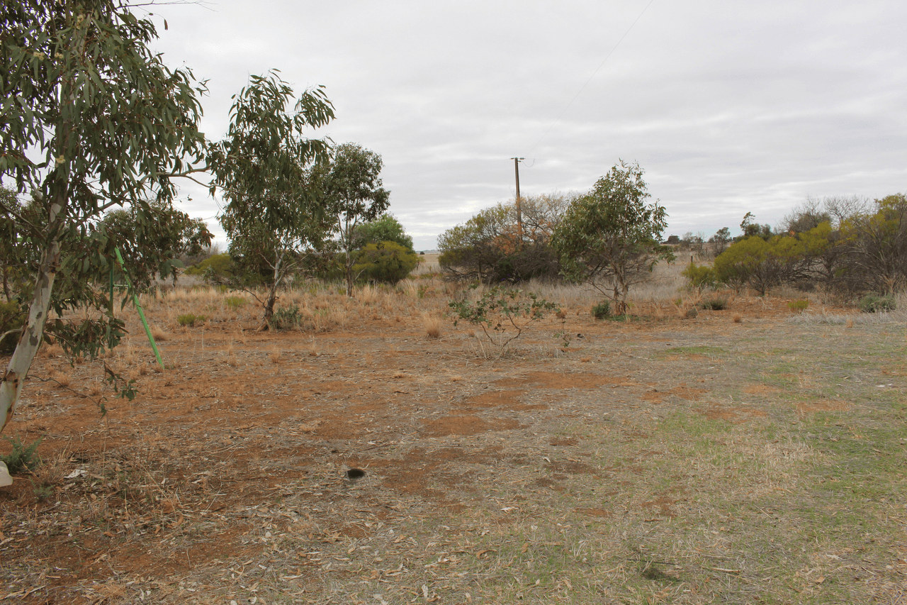106 Dows Road, OWEN, SA 5460