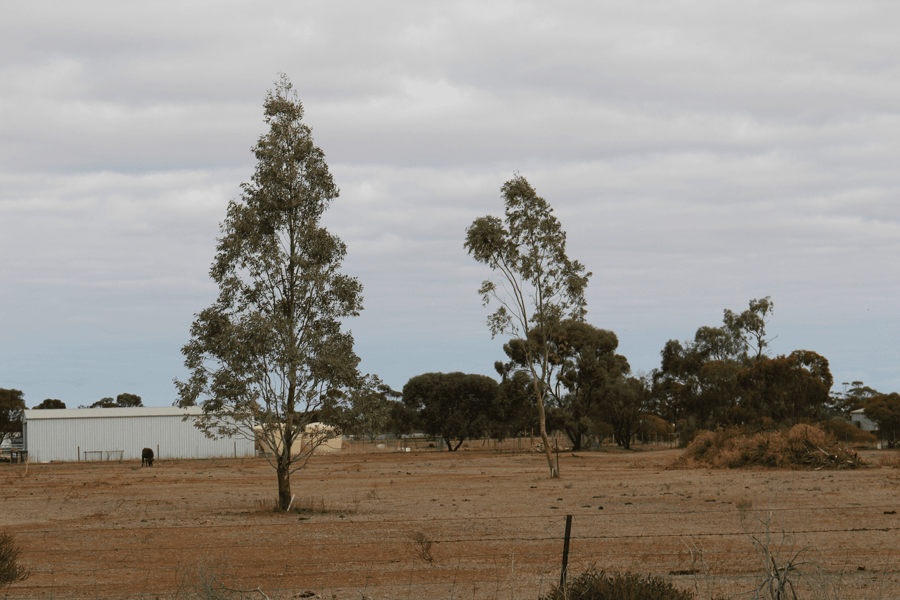 106 Dows Road, OWEN, SA 5460