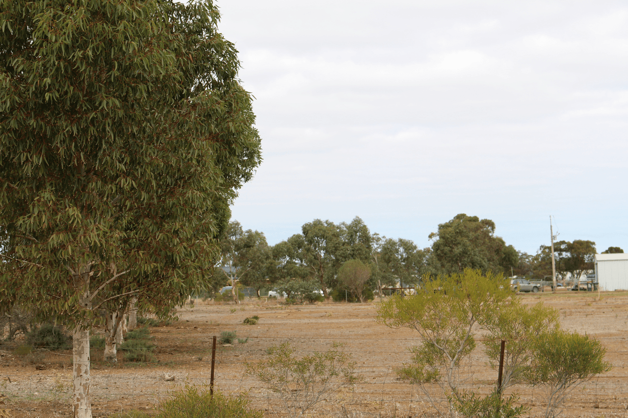 106 Dows Road, OWEN, SA 5460