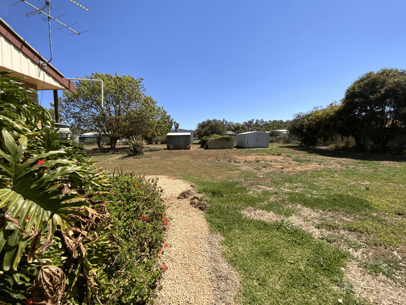 36 Cameron Street, Curlewis, NSW 2381