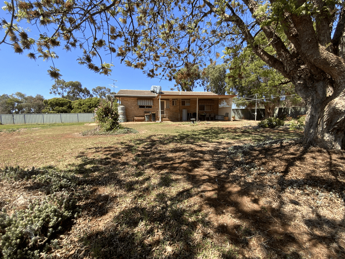 36 Cameron Street, Curlewis, NSW 2381