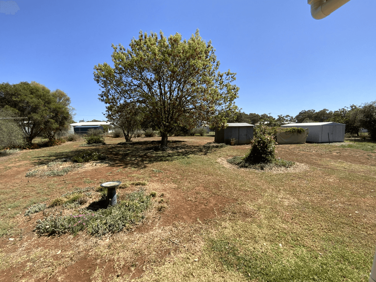 36 Cameron Street, Curlewis, NSW 2381