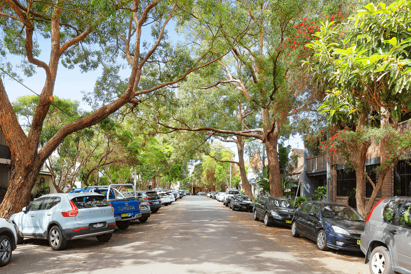 14 Anderson Street, ALEXANDRIA, NSW 2015