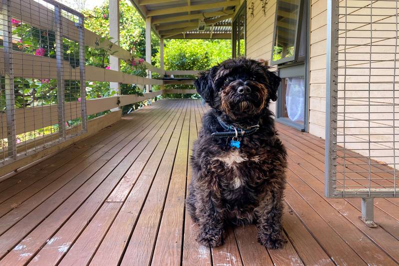 12 Nash Street, JAMIESON, VIC 3723