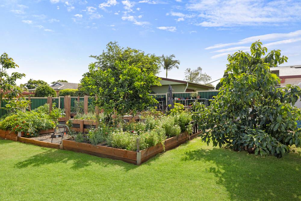 234A Alderley Street, CENTENARY HEIGHTS, QLD 4350