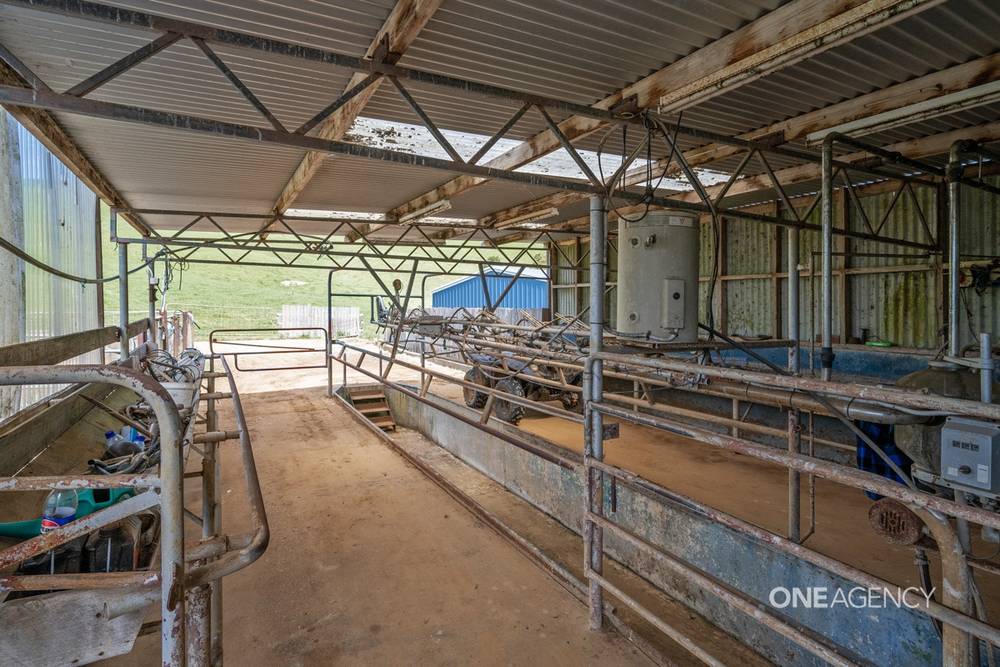 1383 Trowutta Road, Edith Creek, TAS 7330