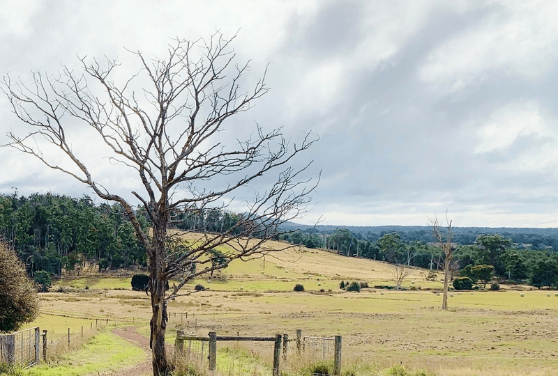 57 Lightwood Hills Road, Beaconsfield, TAS 7270