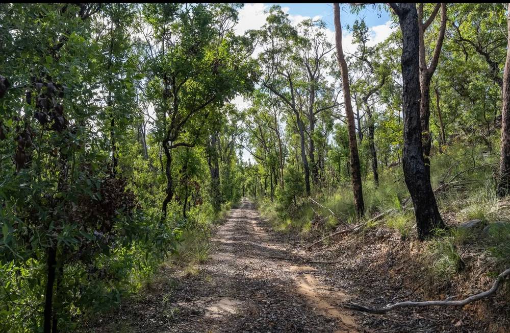 288 Mcgills Road, KREMNOS, NSW 2460