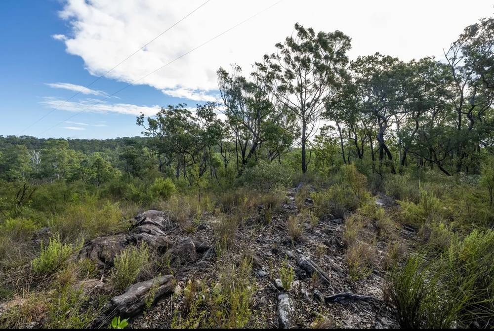 288 Mcgills Road, KREMNOS, NSW 2460