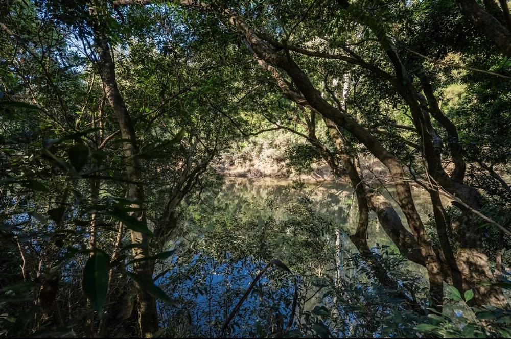 288 Mcgills Road, KREMNOS, NSW 2460