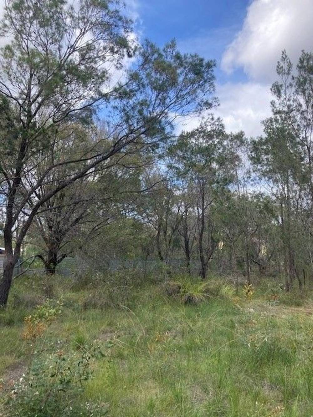 31 Waropara Rd, Wyee, NSW 2259