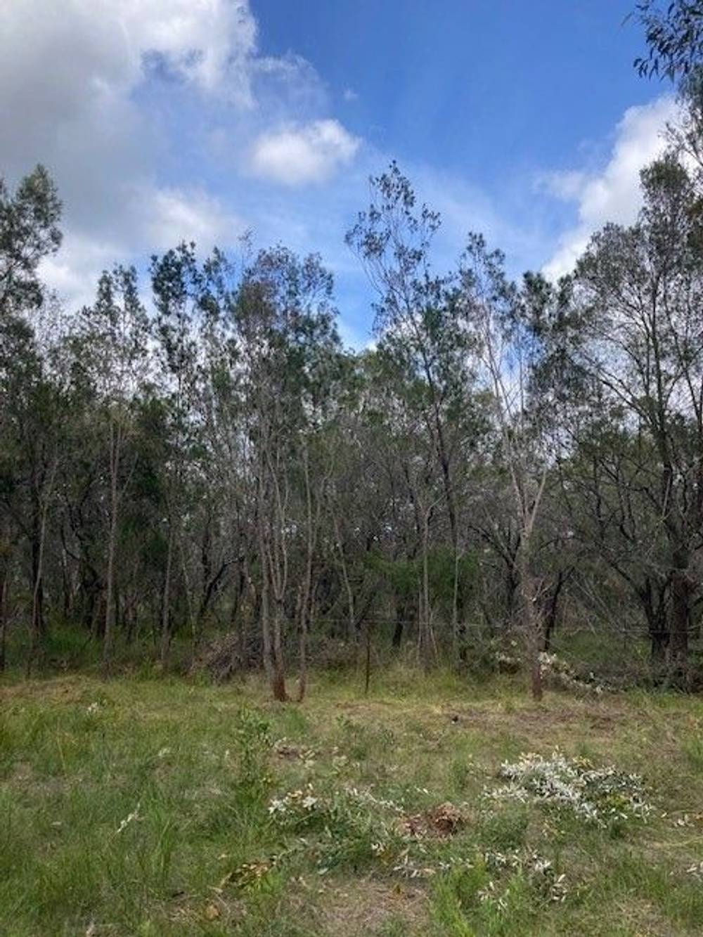31 Waropara Rd, Wyee, NSW 2259