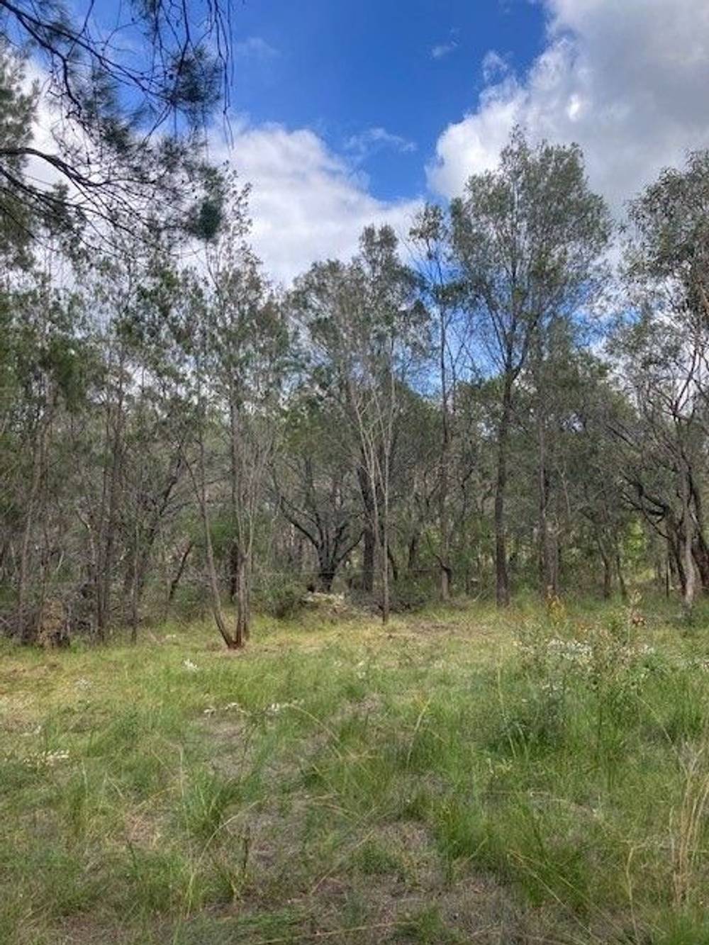 31 Waropara Rd, Wyee, NSW 2259