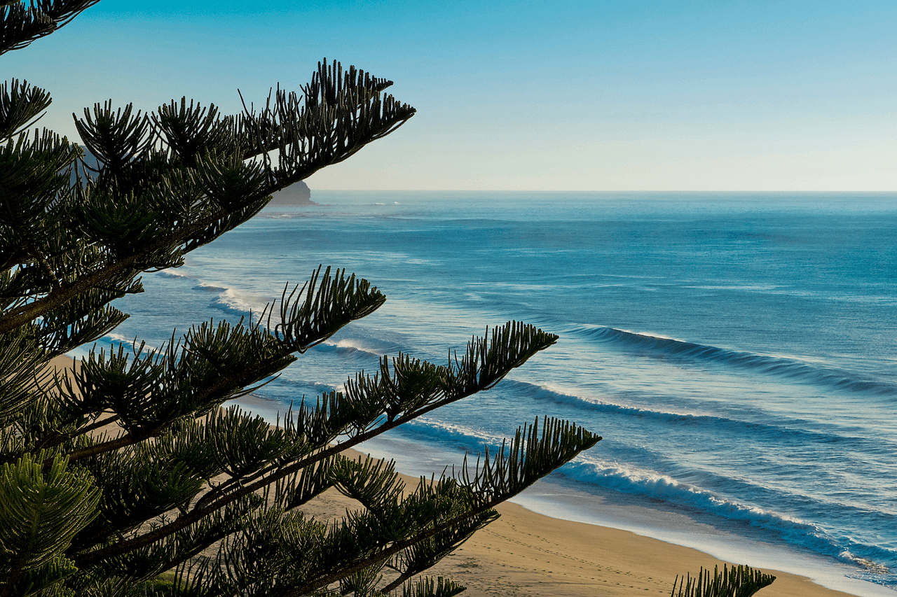51/11 Ocean Street, Narrabeen, NSW 2101