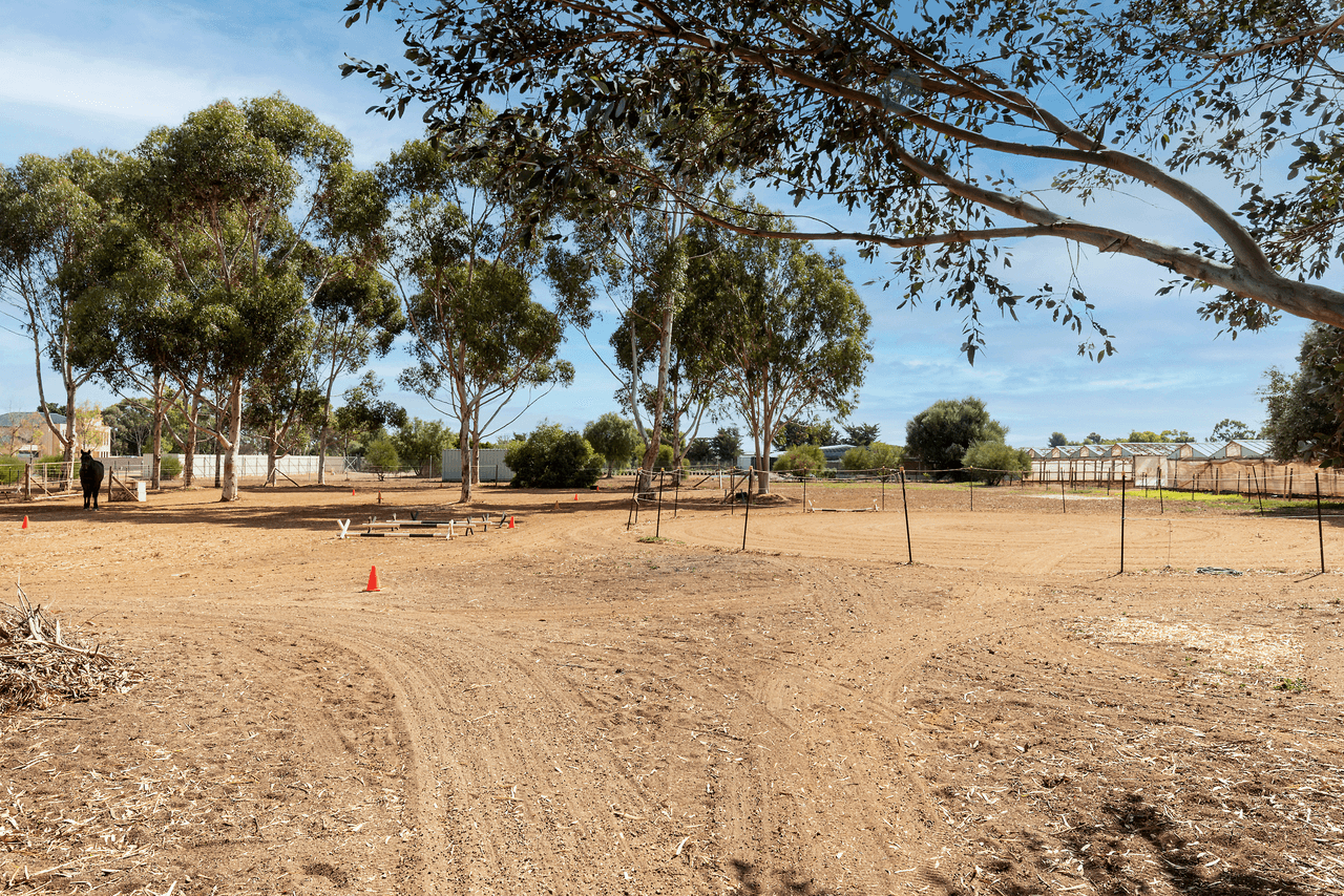 38 Julian Road, MACDONALD PARK, SA 5121