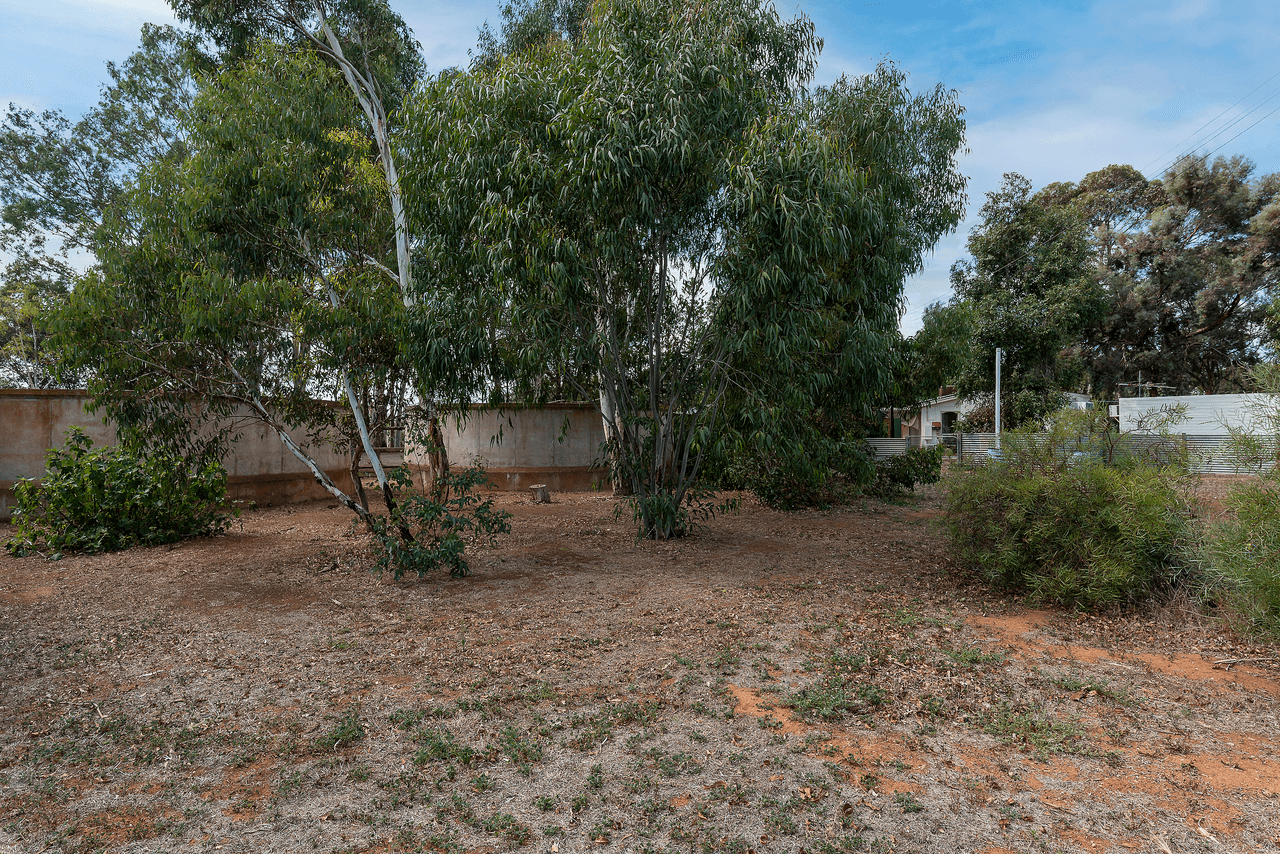 38 Julian Road, MACDONALD PARK, SA 5121