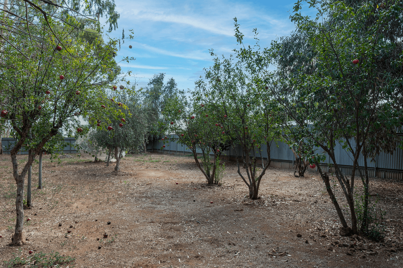 38 Julian Road, MACDONALD PARK, SA 5121