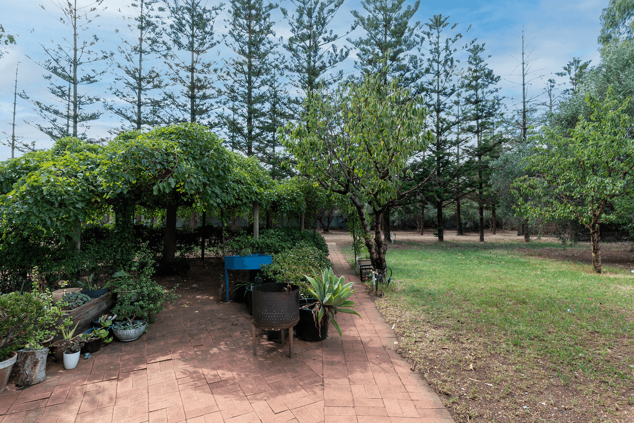 38 Julian Road, MACDONALD PARK, SA 5121