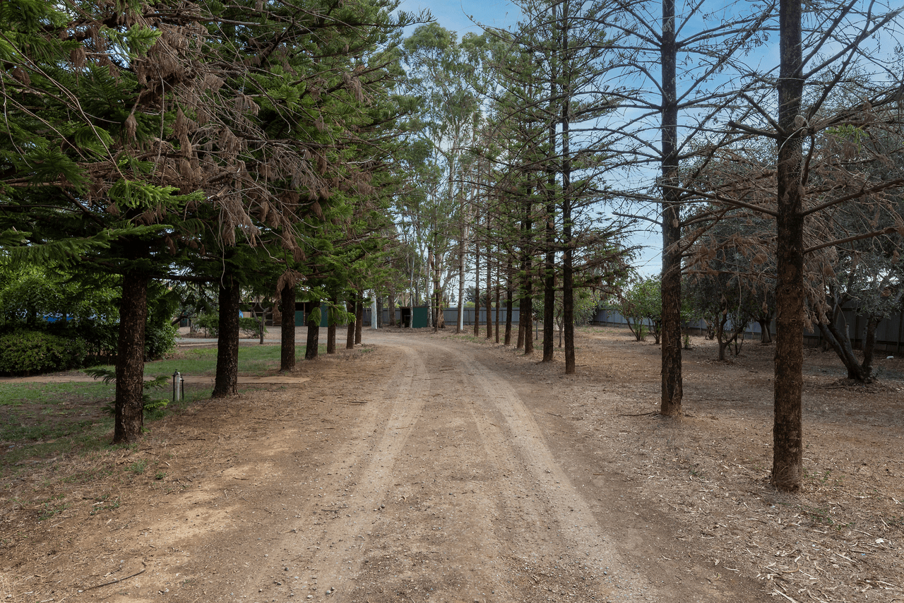 38 Julian Road, MACDONALD PARK, SA 5121