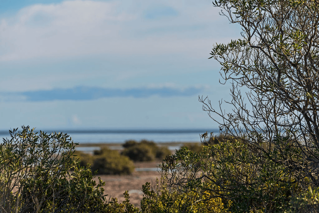 29 The Esplanade, THOMPSON BEACH, SA 5501