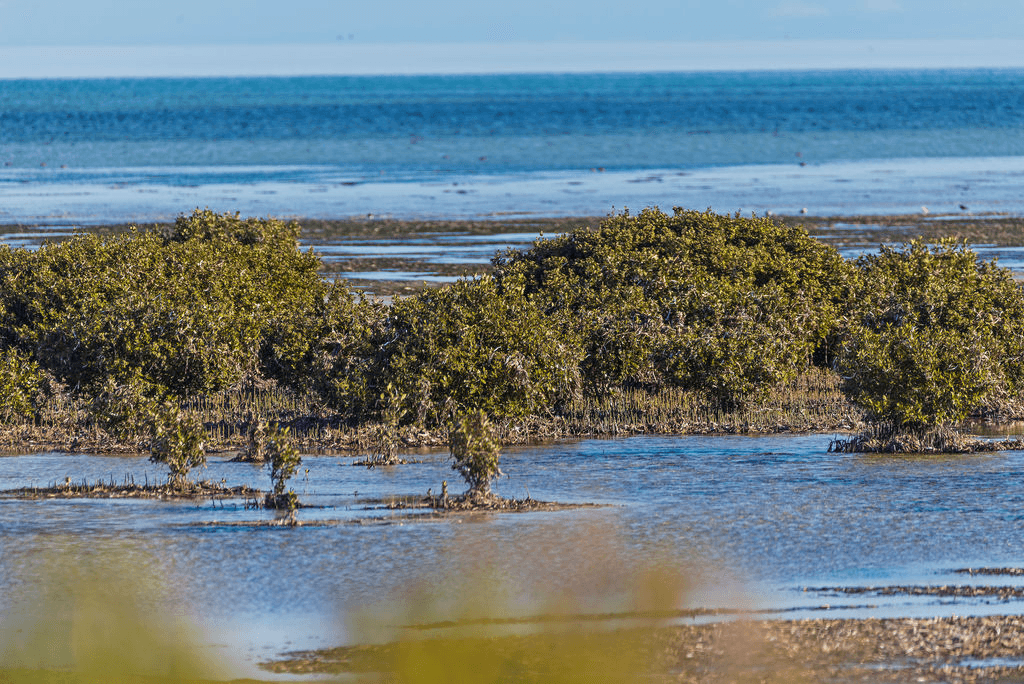 29 The Esplanade, THOMPSON BEACH, SA 5501