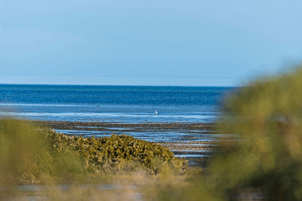 29 The Esplanade, THOMPSON BEACH, SA 5501