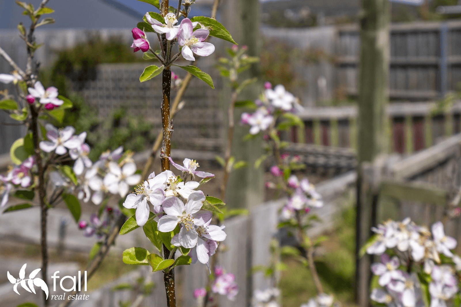 63 Grange Road East, ROKEBY, TAS 7019