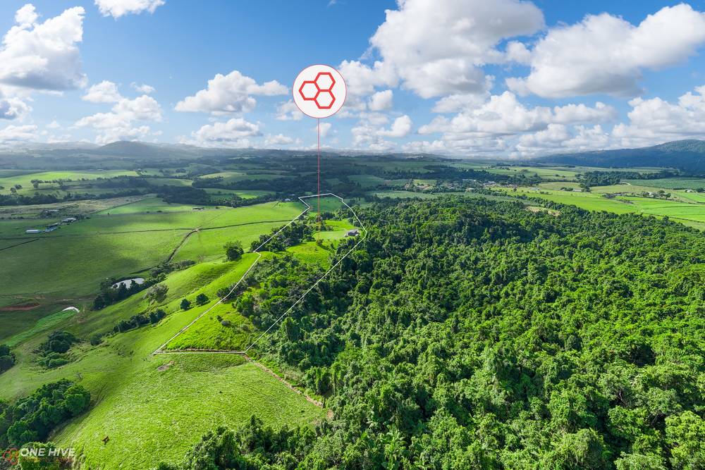 93 Mena Creek Road, Mena Creek, QLD 4871