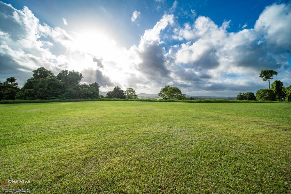 93 Mena Creek Road, Mena Creek, QLD 4871