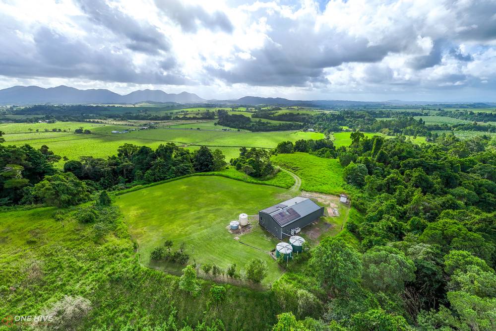 93 Mena Creek Road, Mena Creek, QLD 4871