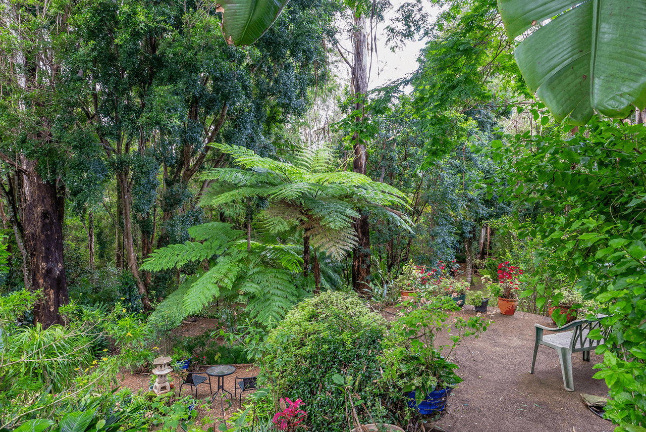 57 Treehaven Way, MALENY, QLD 4552