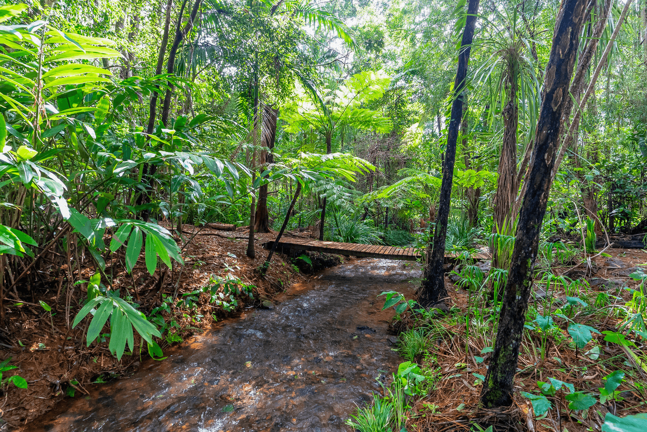 57 Treehaven Way, MALENY, QLD 4552