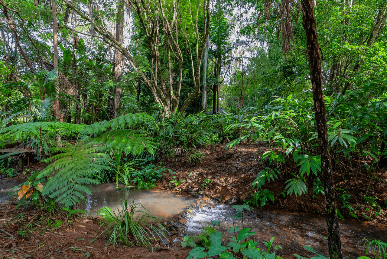 57 Treehaven Way, MALENY, QLD 4552